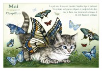 Carte Postale Severine Pineaux Chat Mai Chapillon CPK085