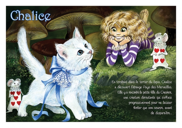 Carte Postale Chat "Chalice" / Cartes Postales Chats