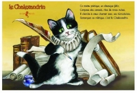 Carte Postale Severine Pineaux Chat Le Chalexandrin CPK134