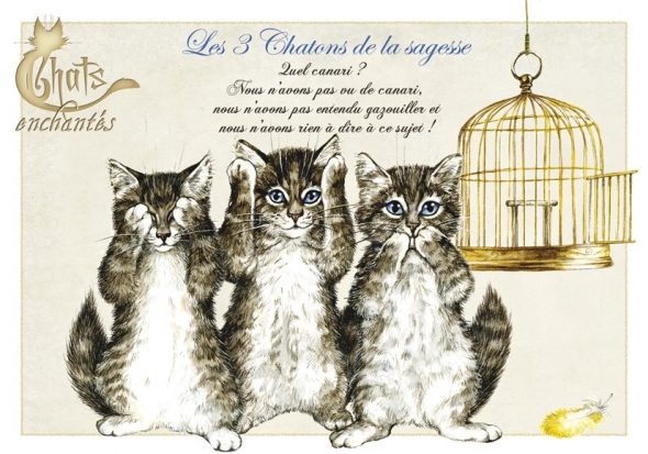 Carte Postale Chat "Les 3 chatons de la sagesse" / Au Bord des Continents