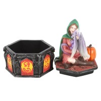 Coffret Anne Stokes Dragon Friendship Fall