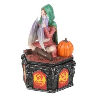 Coffret Anne Stokes Dragon Friendship Fall