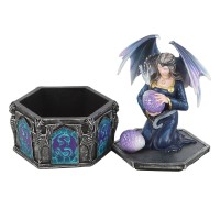 Coffret Anne Stokes Dragon Friendship Spring