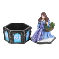 Coffret Anne Stokes Dragon Friendship Winter