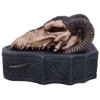 Coffret Dragon Skull Box