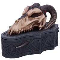 Coffret Dragon Skull Box