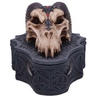 Coffret Dragon Skull Box