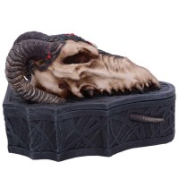 Coffret Dragon Skull Box