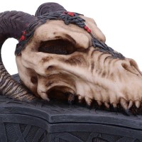 Coffret Dragon Skull Box