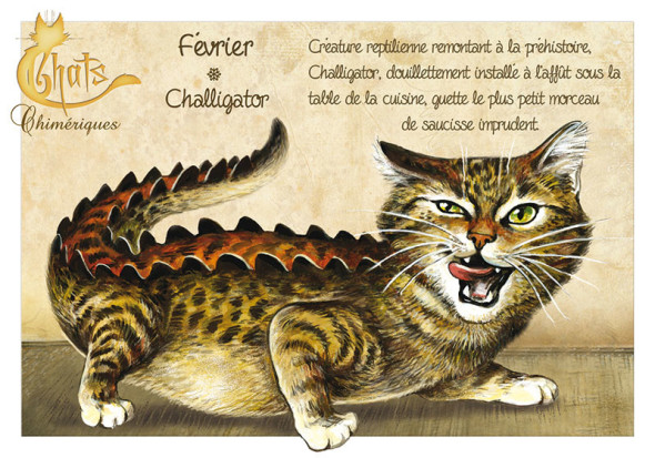 Carte Postale Chat "Février - Challigator" / Carterie Chats