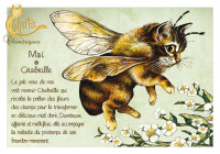 Carte Postale Severine Pineaux Mai - Chabeille CPK177