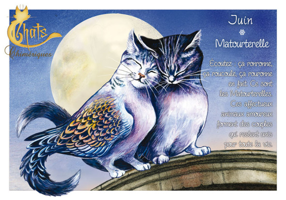 Carte Postale Chat "Juin - Matourterelle" / Carterie Chats