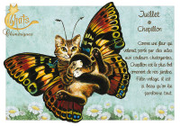 Carte Postale Severine Pineaux Juillet - Chapillon CPK179