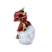 B&eacute;b&eacute; Dragon - DRG597