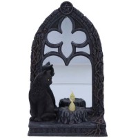 Miroir chat - Magic Mirror - D6768A24