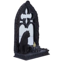 Miroir chat - Magic Mirror - D6768A24