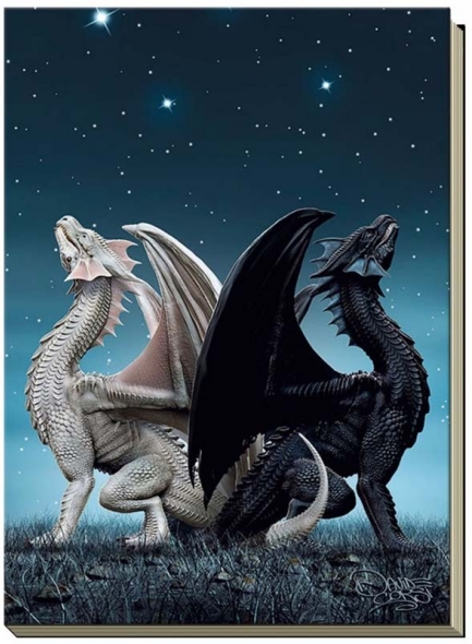Grand carnet "Draconis" / Meilleurs ventes