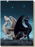 grand carnet dragons draconis
