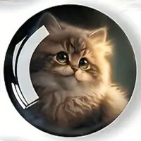 Magnet Chat