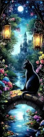 Marque-Page Chat Black Night Cat #2