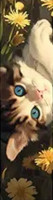 Marque-Page Chat avec fleurs