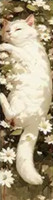 Marque-Page Chat avec fleurs