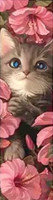 Marque-Page Chat avec fleurs