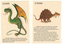 Petit Grimoire : Guide d'un Chasseur de Dragons