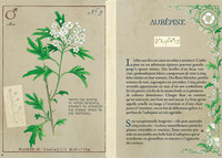 Petit Grimoire : Plantes Sorci&egrave;res - Les Protectrices