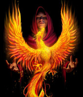 Plaid F&eacute;erique Anne Stokes Phoenix Rising B5317S0