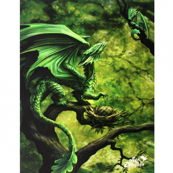 Toile sur chassis "Forest Dragon" / Décorations Murales Féeriques
