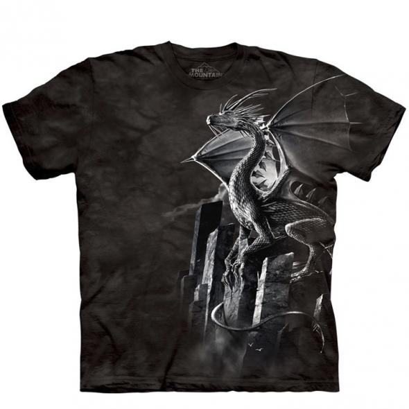 T-Shirt Dragon "Silver Dragon" - 3XL / The Mountain